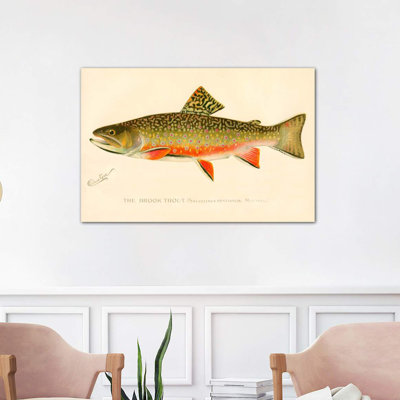 The Brook Trout 1 Piece Wrapped Canvas Wall Art