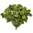 Pothos Artificial Plant
