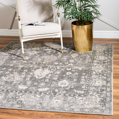 Burrill Abstract Gray Area Rug
