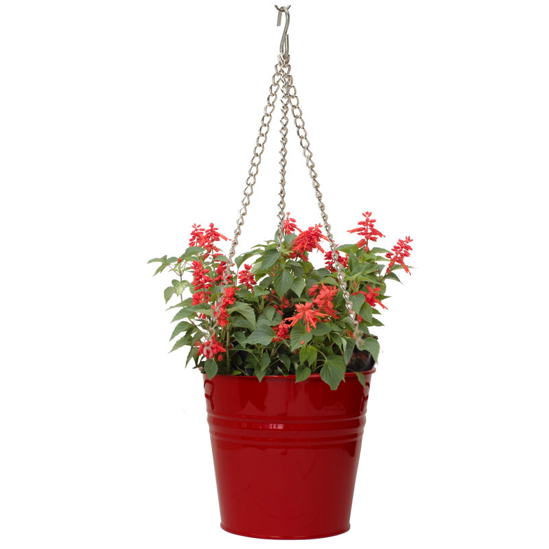 Pot à fleurs surélevé en acier galvanisé, Rouge