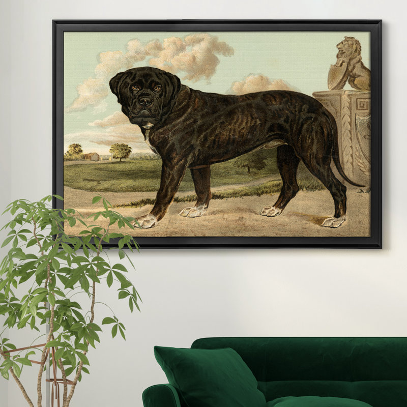 Mastiff - cadre photo, reproduction d'art sur toile, H 22,5 po x l 30,5 po x P 1,5 po, Noir
