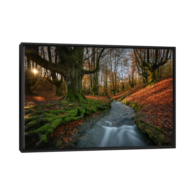 « magique forest », reproduction de photo sur toile, H 18 po x l 26 po x P 1,5 po, Toile avec cadre noir, Pas de tapis