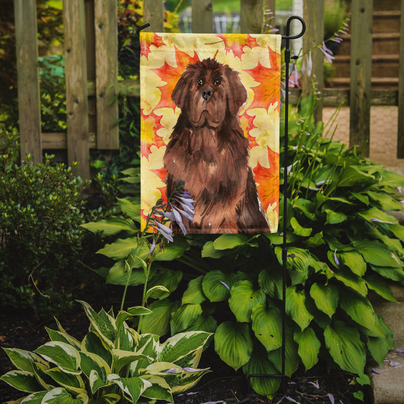 Double Sided 15'' H x 11'' W Polyester Animal Garden Flag, Brown Newfoundland