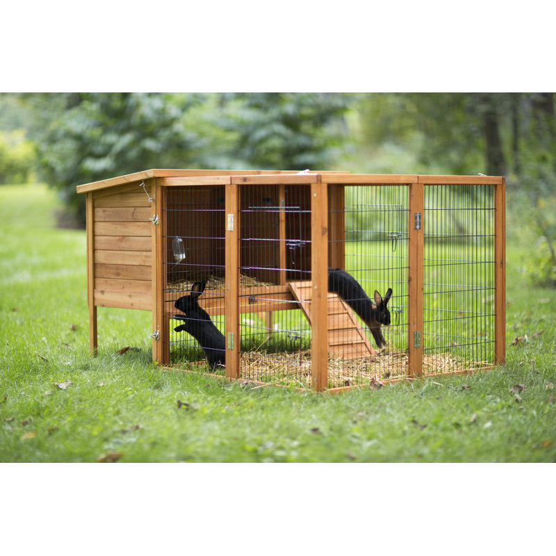Frias Weather Resistant Rabbit Playpen, 33.5" H x 40" W x 43.75" L