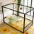 iron modern floor bed-2089146954