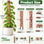 23.03 in. H x 1.65 in. W Trellis