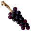 Grapes Decor-79555909
