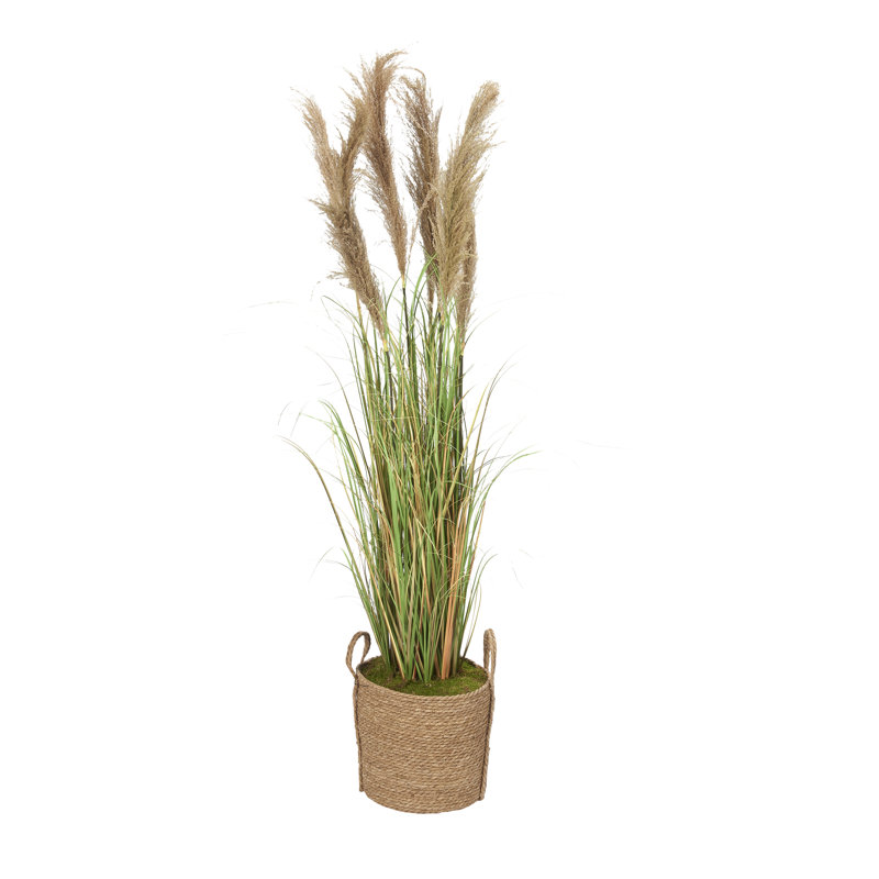 Roseau dans un panier rond naturel