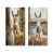 Toile tendue