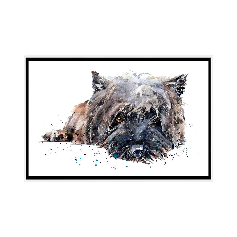 «Cairn Terrier II» par EdsWatercolours - impression, Toile blanche encadrée, Pas de tapis, H 18 po x l 26 po x P 1,5 po