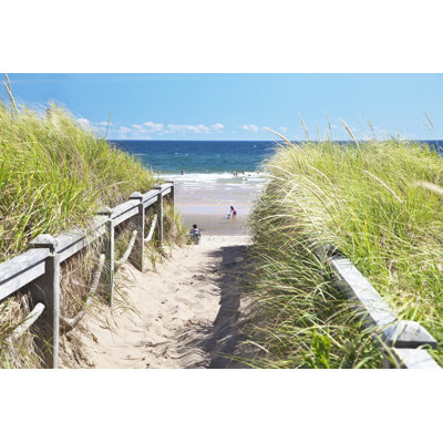 " Beach Path " by Onepony