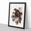 Brown Hawks by Elizabeth Gould - Picture Frame Painting Print-55513193-55513192