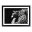 Majestic Lion Illustration in Abstract - Picture Frame Graphic Art Print-55760855-55760853
