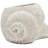 8.3X7x4.7" Decorative Sand And Cement Snail Planter With Textured Beige Finish