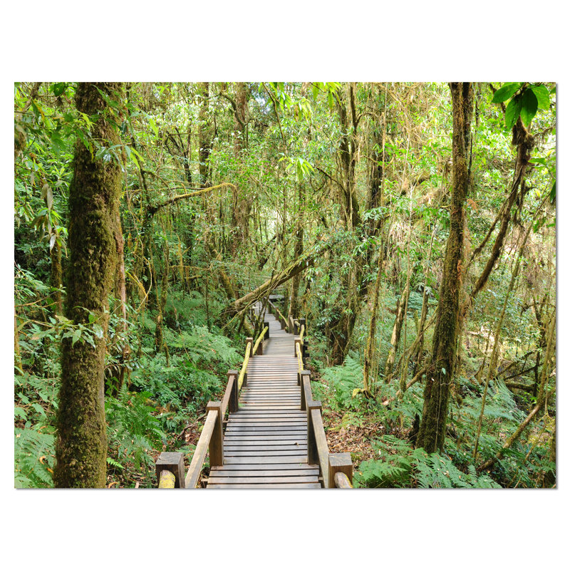 Walk Way in Deep Forest - Reproduction de photo sur toile tendue, H 30 po x l 40 po x P 1 po