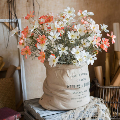 Cosmos Arrangement