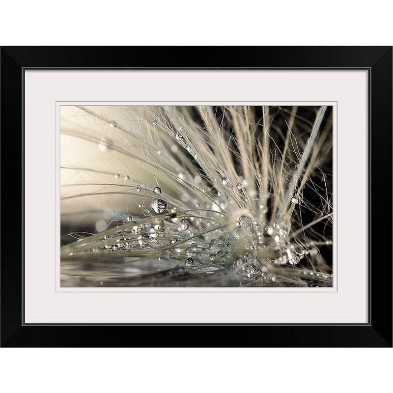 « Straub Pearls » par Maryam Zahirimehr - reproduction de photo, H 20 po x l 26 po, Impression encadrée, Noir
