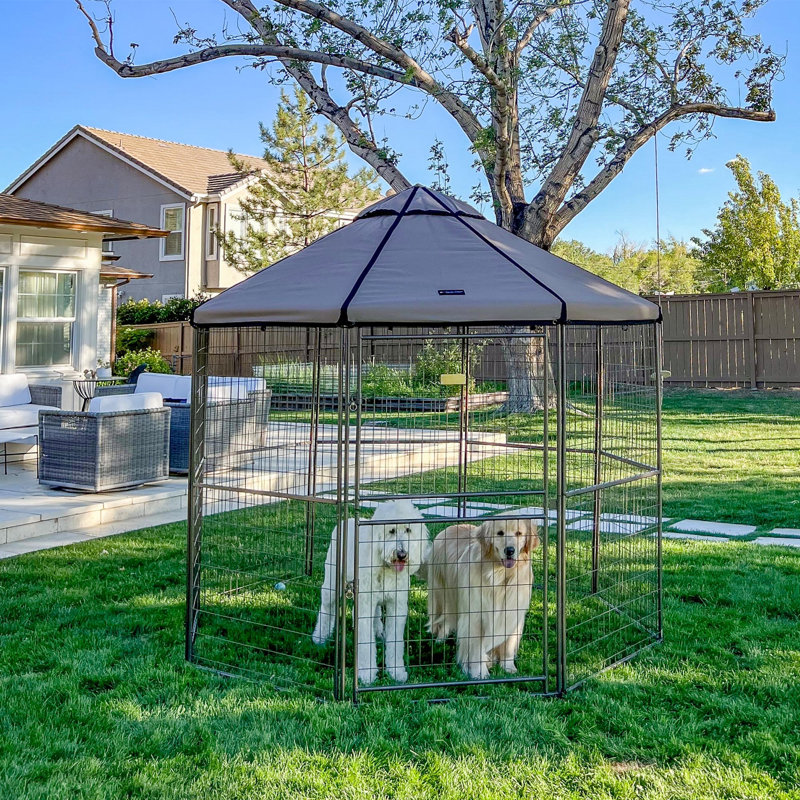 Gazebo pour animaux de compagnie, chenil extérieur de 2,4 m avec double porte et auvent d'ombrage, H 93 po, Brun