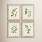 Evy Olive Leaf Botanical Whitewash Prints, Set of 4