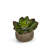 14'' Faux Succulent Plant in Concrete Pot