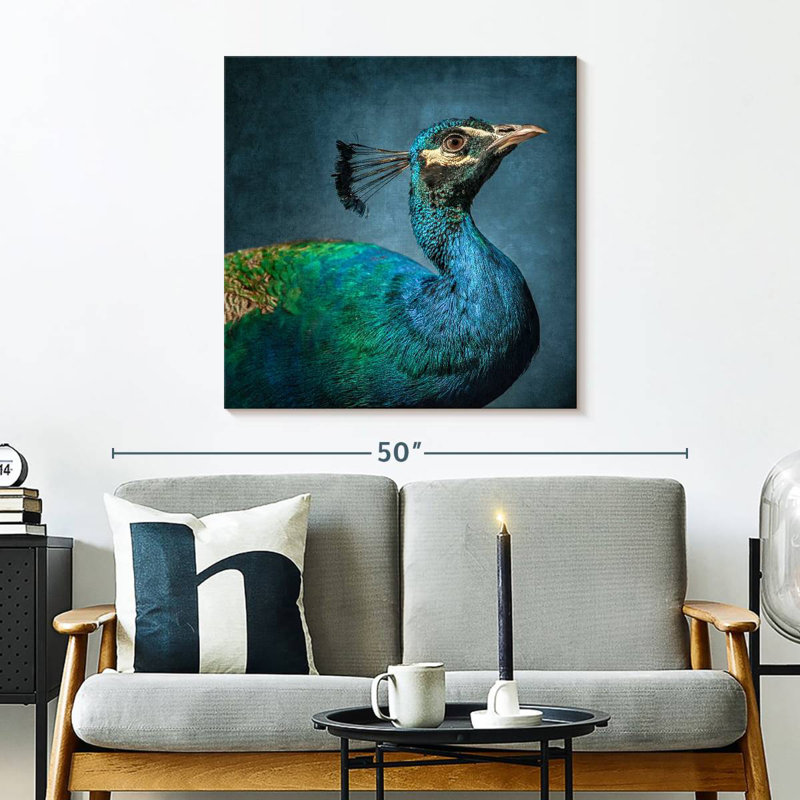 Brampt Proud Peacock