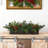 10'' Faux Pine Plant in Wood Planter