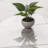 Beldale 12 in. x 24 in. Polished Porcelain Marble Look Floor and Wall Tile-94322871