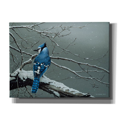 «Winter Jay on Canvas» par Ron Parker, reproduction