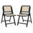 Ensemble de 2 chaises de patio pliables en rotin AllModern Dan-71526368
