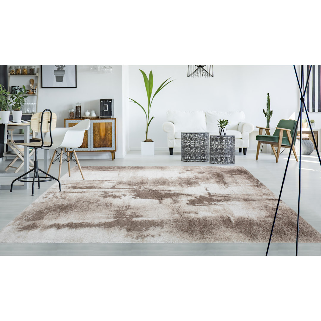 Shag Zara Beige/Brown Rug 17 Stories Rug 