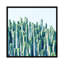 «Cactus Plants», impression sur toile-21722274-71980504