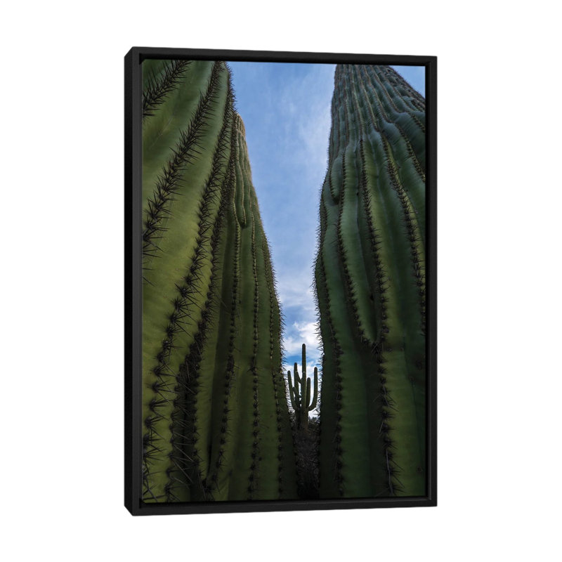 Cactus encadré - reproduction d'art murale - toile encadrée, 60 po x 40 po, Toile avec cadre, Noir