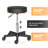 Jeeves Adjustable Height Ergonomic Lab Stool with Removable Casters/Wheels