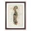 Anatomy Chart in German - Framed Print-55682193-55682194