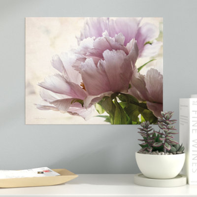 " Translucent Peony I "
