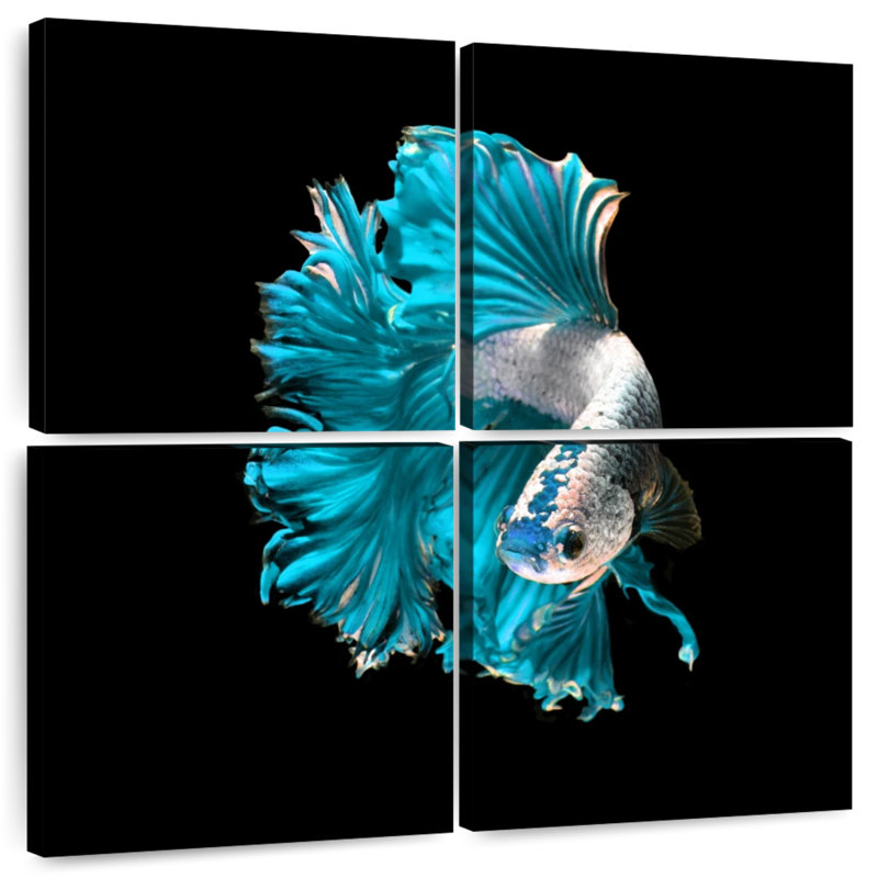 Brampt Plush Fighter Fish, 18'' H x 18'' W