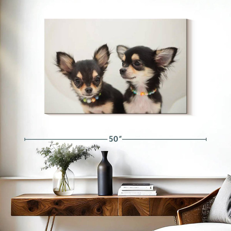 Chihuahua Duo