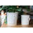 White Handthrown Crock-130431168