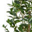 ARBRE DE LAURIER ARTIFIQUE 150CM 150CM-1609630844