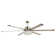 65'' Ceiling Fan with LED Lights