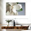 Magnolia blanc Harnek-107472027