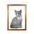 Honey Oak Frame is unavailable