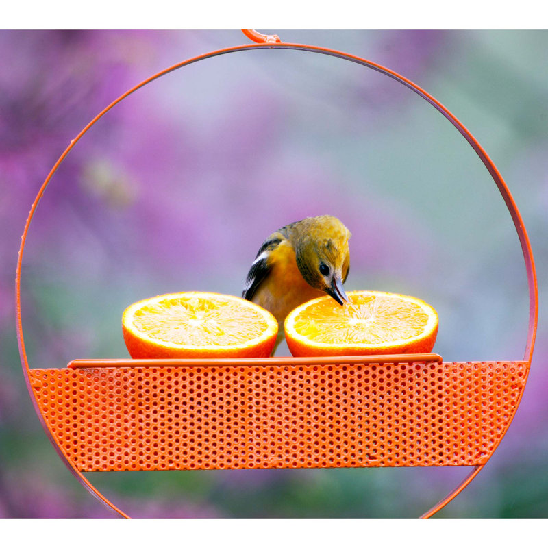Dareen Hanging Tray Bird Feeder, Orange