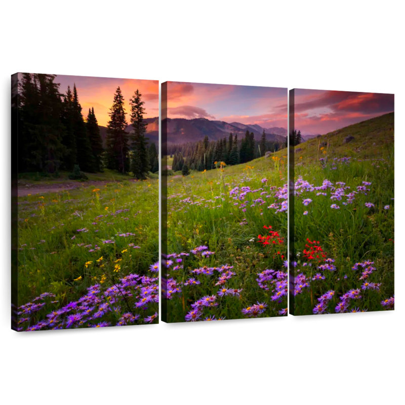 Alvord Rocky Mountains Wildflowers, H 42 po x l 65 po