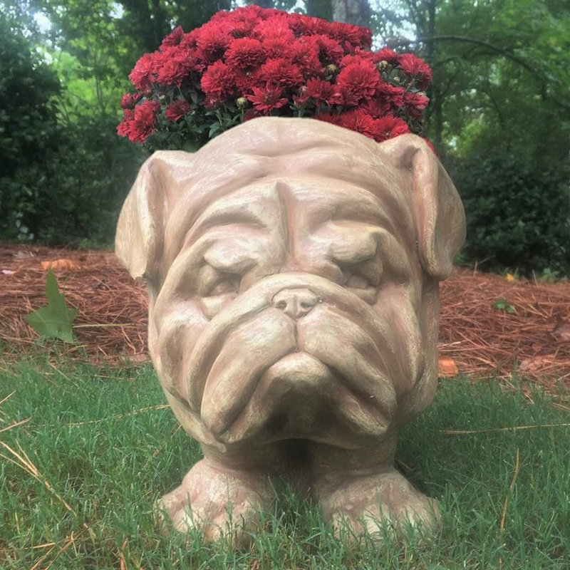 Muggly's Bulldog Mascot Animal Statue Planter, Stone Wash