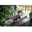 Tuka Mid Chairs-1816206387-1816206397
