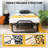 Reanna Upholstered Metal Open-Frame Bed