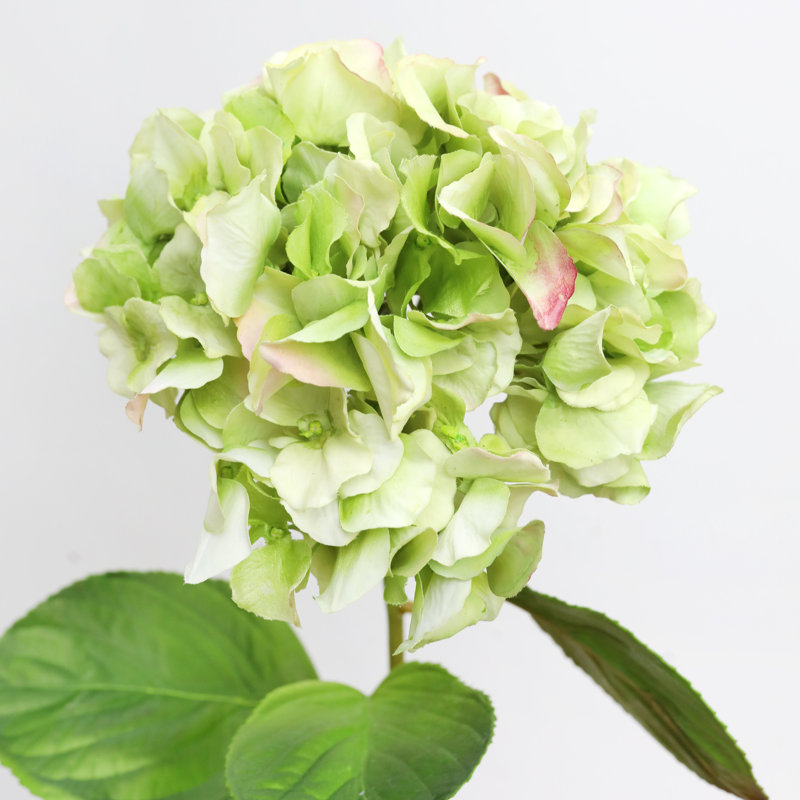 Hortensia vert Real Touch 28,5 po, Vert, H 28,5 po x l 9 po
