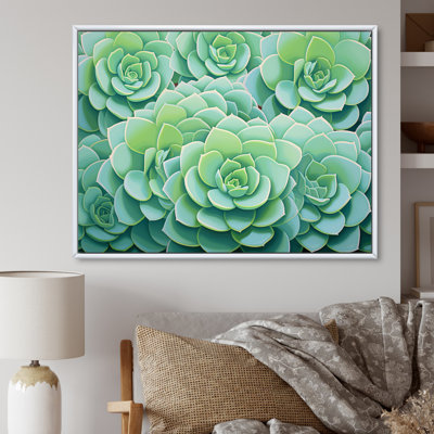 " Green Succulents Bloom "