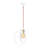 Adjustable Height Iron Body Globe Pendant